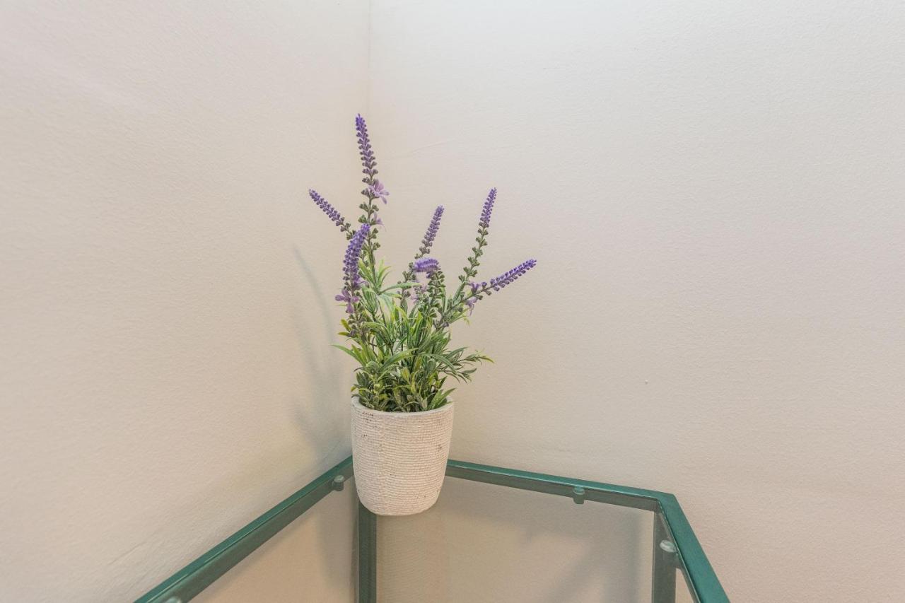 Saluto Al Sole Apartment Zadar Ngoại thất bức ảnh